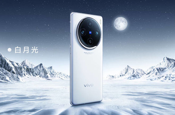 vivo1.jpg