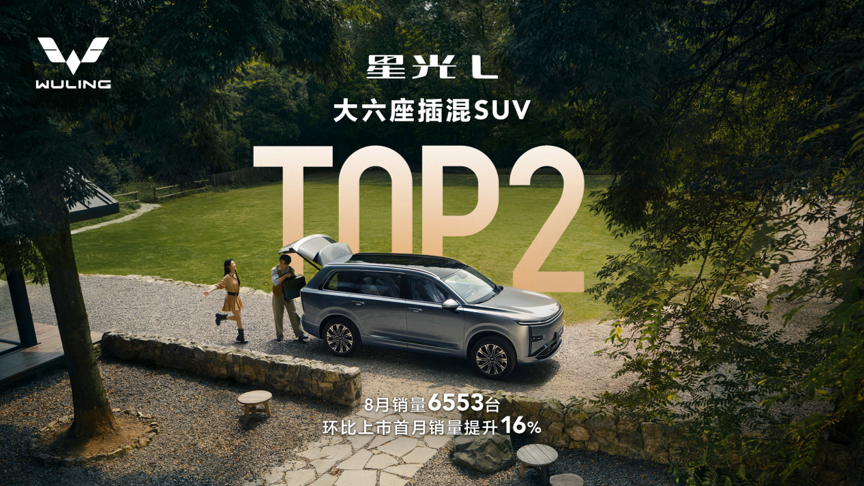 <strong>星光L斩获大六座插混SUV销量TOP2，十万级大六座持续热销领跑</strong>
